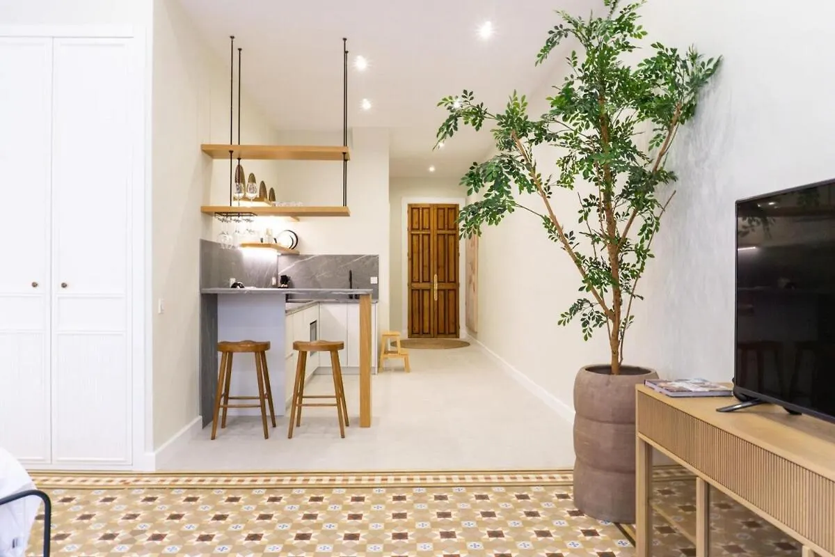Apartmán Deluxe Loft Constitucion Màlaga